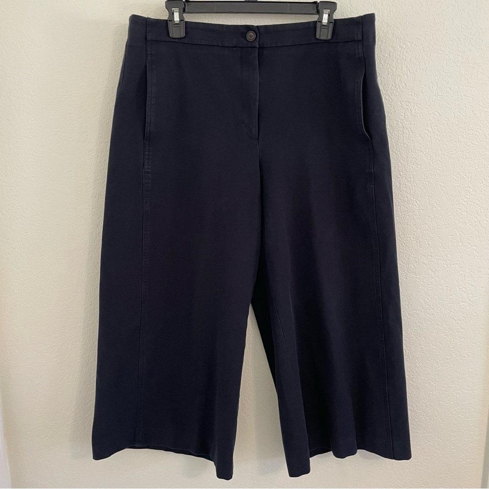 ANN TAYLOR Marina Navy Wide Leg Crop Pants/Capri’s size 14